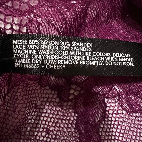 NWT TORRID Cheeky Pantie Underwear Sz 3X Purple Sheer Lace - Picture 3 of 4